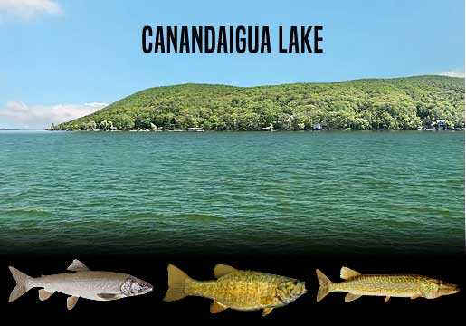 Fishing Report Canandaigua Lake, NY