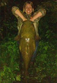 Ohio flathead catfish