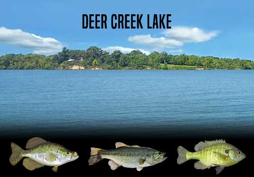Fishing Report Deer Creek Lake, OH