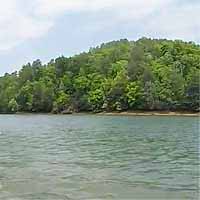 Leesville Lake Reports