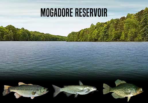 Fishing Report Mogadore Reservoir, OH