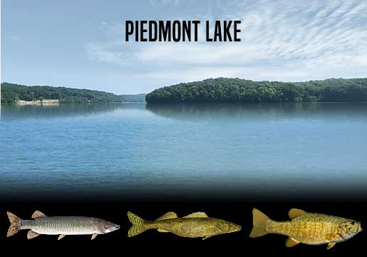 Fishing Report Piedmont Lake