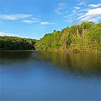 Salt Fork Lake Reports