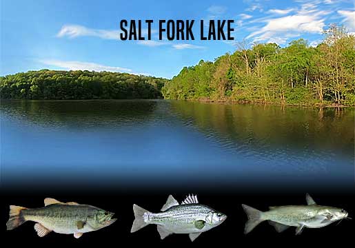 Fishing Report Salt Fork Lake, OH