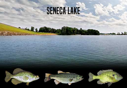 Fishing Report Seneca Lake, OH