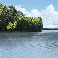 Grand Lake Reports