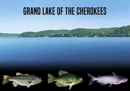 Fishing Report Grand Lake of the Cherokees, OK