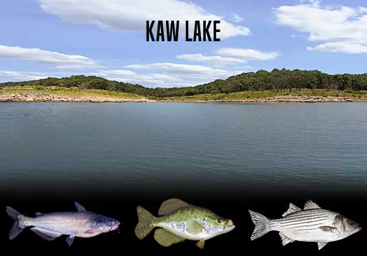 Fishing Report Kaw Lake, OK