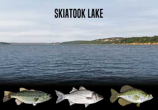 Fishing Report Skiatook Lake