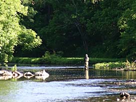 Fly fishing for big trout in a PA stream.