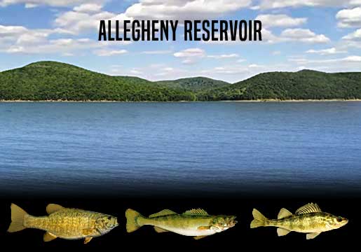 Fishing Report Allegheny Reservoir, PA