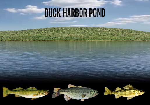 Fishing Report Duck Harbor Pond