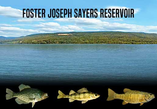Fishing Report Foster Joseph Sayers Lake, PA