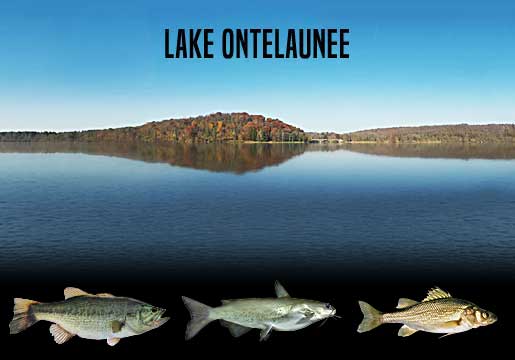 Fishing Report Lake Ontelaunee, PA