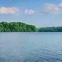 Marsh Creek Lake Reports