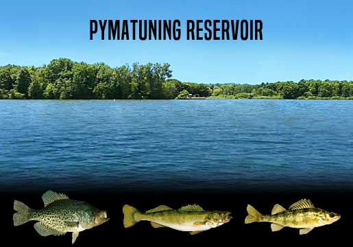 Fishing Report Pymatuning Reservoir