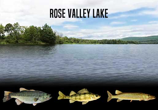 Fishing Report Rose Valley Lake, PA