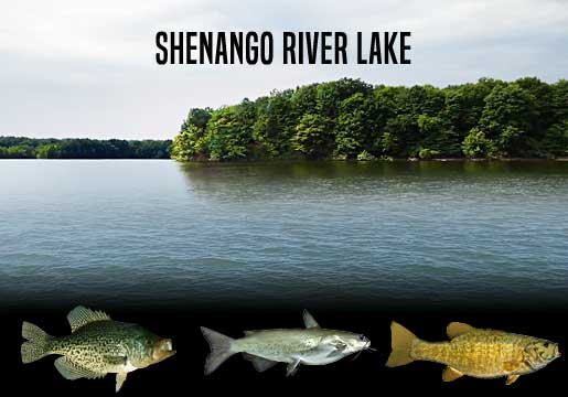Fishing Report Shenango River Lake, PA