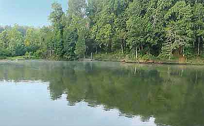 Millers Ferry Reservoir, AL