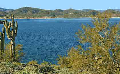 Bass Fishing Lake Pleasant