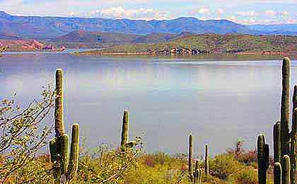 Roosevelt Lake, AZ