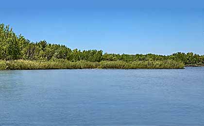 Cherry Creek Reservoir