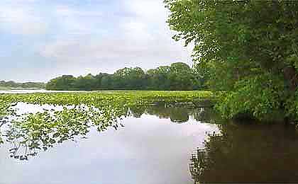 Garrisons Lake