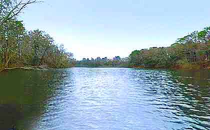 Millsboro Pond, DE