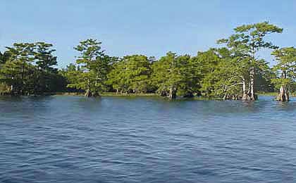 Blue Cypress Lake, FL