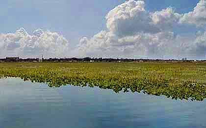 East Lake Tohopekaliga, FL