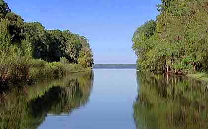 Newnans Lake, FL