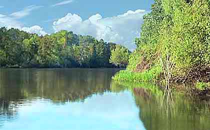 Atchafalaya Basin, LA