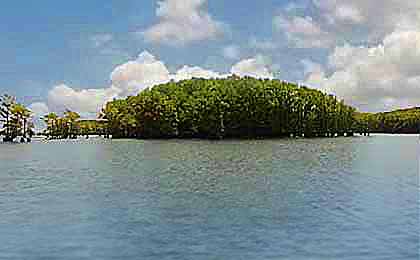 Caddo Lake, LA