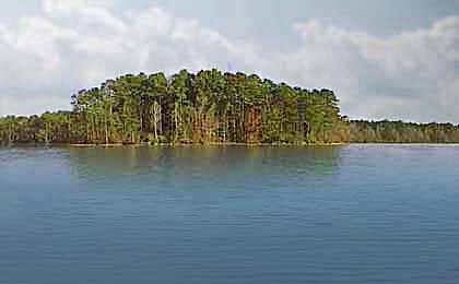 Caney Creek Reservoir, LA