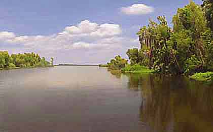 Lac des Allemands, LA