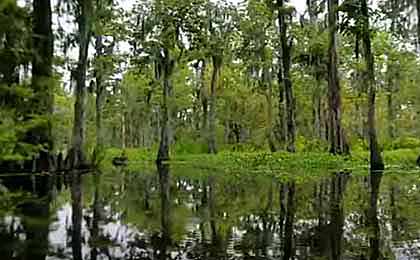 Lake Maurepas, LA