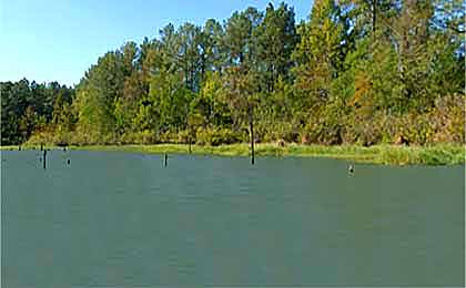 Toledo Bend Reservoir, LA