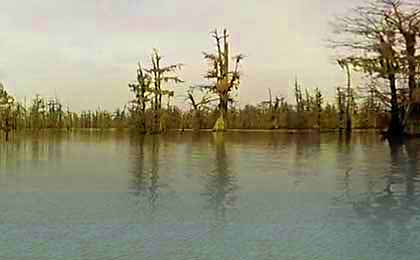 Turkey Creek Lake, LA