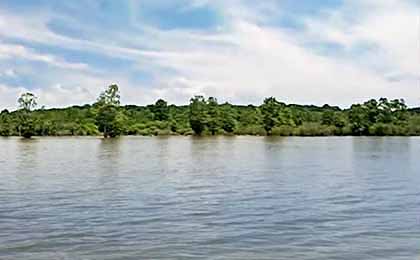 Sardis Lake, MS