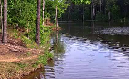 Falls Lake, NC