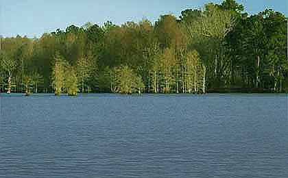 Lake Moultrie, SC