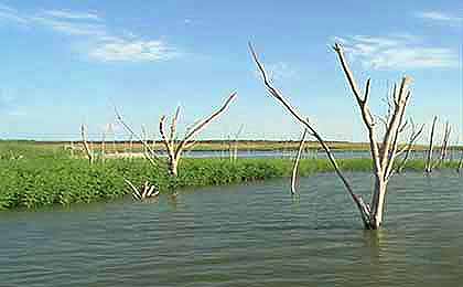 Falcon Reservoir, TX