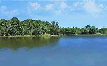 Martin Creek Lake, TX