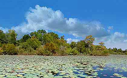 Sam Rayburn Reservoir, TX