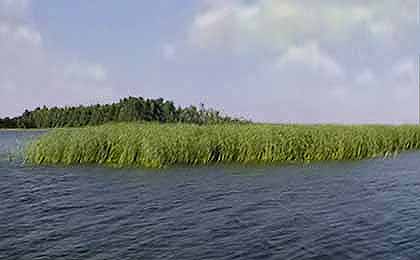 Shell Lake, WI