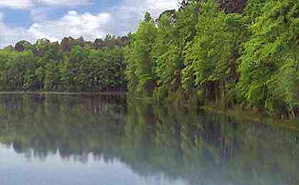 O’Brien Lake, WV