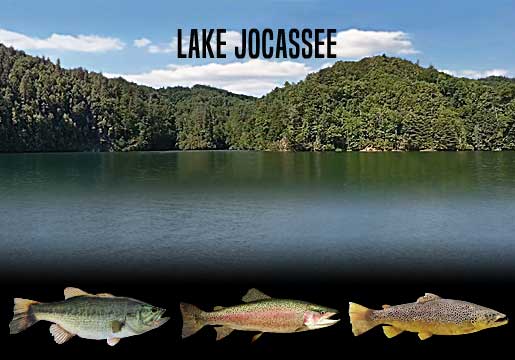 Fishing Report Lake Jocassee, SC