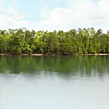 Lake Monticello, South Carolina
