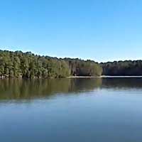 Lake Monticello Reports