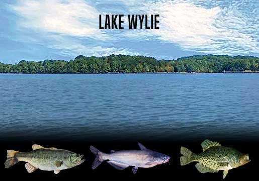 Fishing Report Lake Wylie, SC